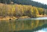 Autumn at Marlette Lake, near Lake Tahoe, Nevada NV 10/13/07