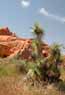 Red rock formations, Gold Butte ACEC*